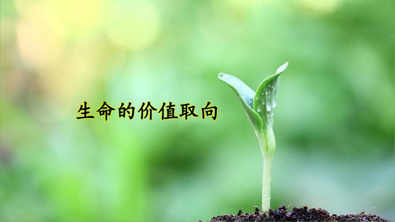 生命的价值取向